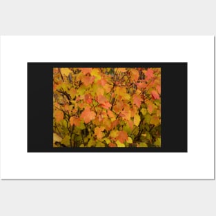 Autumn Leaves Posters and Art